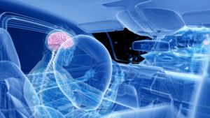 Nuestros abogados de demanda de lesiones cerebrales en Florida discuten los tres tipos de lesiones cerebrales que pueden ocurrir en un accidente automovilístico.
